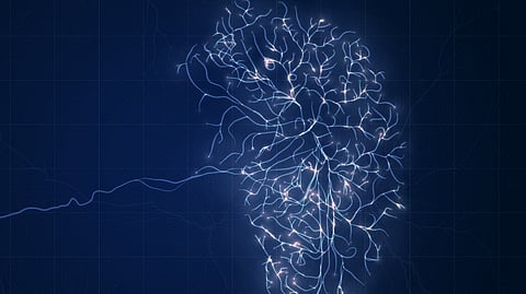 Illustration of neuron signals in light blue color having dark blue background.