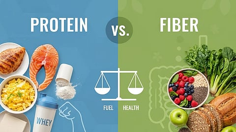 Image showing a comparison between protein and fiber.