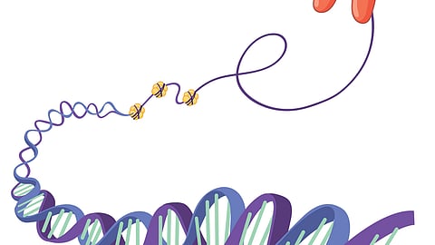 Graphical image representing a double helix structure of DNA.