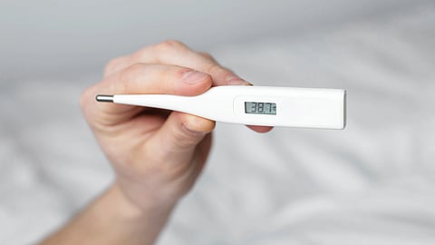 Image of a digital thermometer without mercury.
