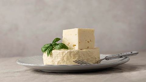 Image of paneer on a plate with coriander on its top along with a fork.