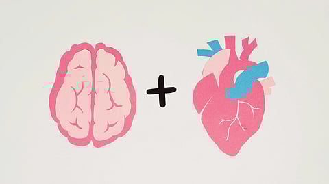 An image of brain and heart with plus sign.