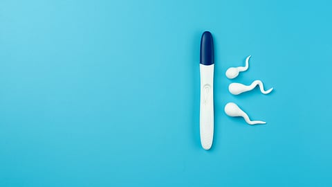 An image of pregnancy test with a dark blue cap and three white sperm shapes.