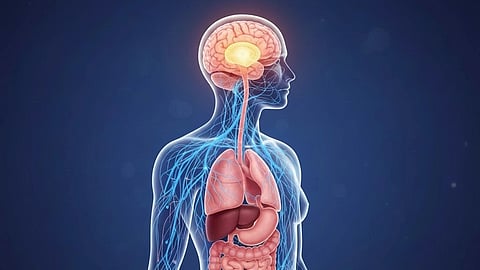 Illustrative image of neuronal structure of the body connecting each and every part.