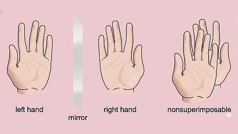 Image depicting concept of chirality using left and right hand.