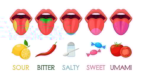 Various types of food displayed in a mouth, showcasing textures and colors of different items.