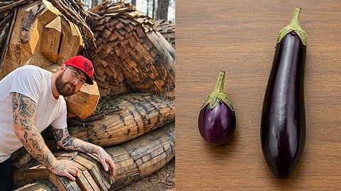 Michael Phillips and Image of 2 eggplants