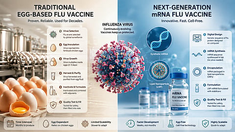 Split-screen illustration comparing egg-based influenza vaccine production with Moderna's mRNA vaccine technology