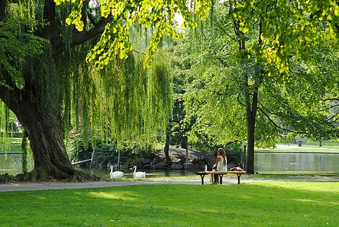 Must visit parks in Meerut