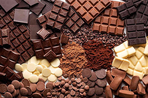 Premium Chocolates in Meerut