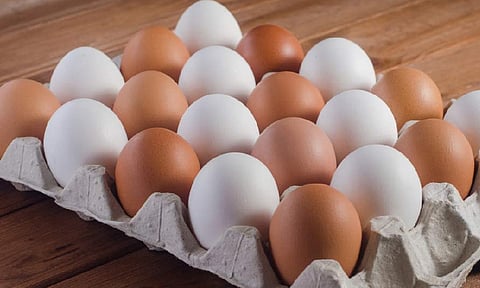 ডিমের বাজারে আগুন : হালি ৬০ টাকা