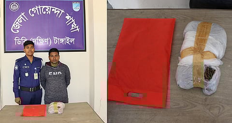 টাঙ্গাইলের মির্জাপুরে ১ কেজি গাজাঁসহ এক মাদক ব্যবসায়ী গ্রেফতার