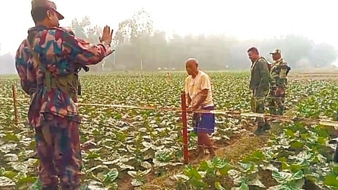 দহগ্রাম সীমান্তে কাঁটাতারের বেড়ায় বাঁশ লাগানোর চেষ্টা