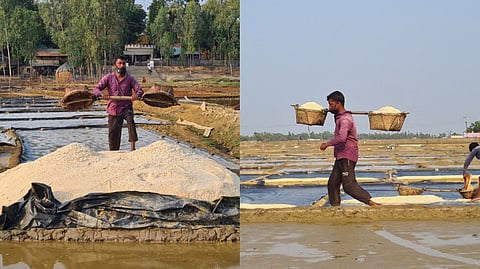 কক্সবাজারে লবণ চাষিদের হতাশা: উৎপাদন বাড়লেও দাম কমছে, লোকসান গুনতে হচ্ছে চাষিদের