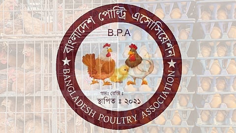 ডিম ও মুরগি উৎপাদন বন্ধের ঘোষণা প্রত্যাহার করেছে বিপিএ