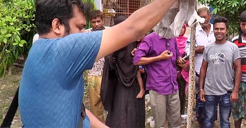 রাসেলস ভাইপারের কামড়ে দুইজনের মৃত্যু