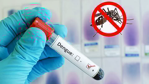ডেঙ্গুতে আরও একজনের মৃত্যু, আক্রান্ত ৩৫২