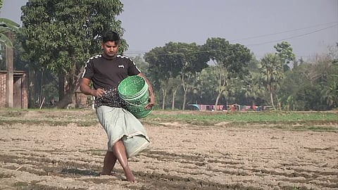 ৩৩২ কোটি টাকায় ৭৫ হাজার টন সার কিনবে সরকার