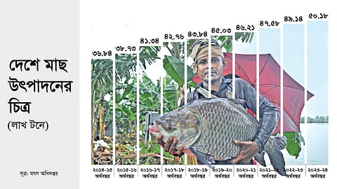 রাসায়নিকমুক্ত মাছ উৎপাদনে মৎস্য নীতি পুনর্গঠন করতে যাচ্ছে সরকার