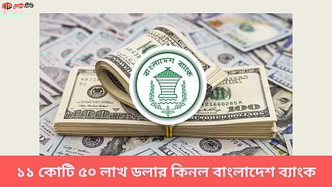 ১১ কোটি ৫০ লাখ ডলার কিনল বাংলাদেশ ব্যাংক