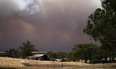 ভয়াবহ দাবানলে অস্ট্রেলিয়ায় ‘দুর্যোগ পরিস্থিতি’ ঘোষণা