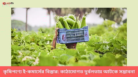 কৃষিপণ্যে ই-কমার্সের বিস্তার: কাঠামোগত দুর্বলতায় আটকে সম্ভাবনা