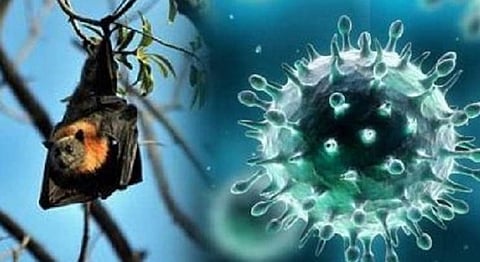 দেশে রহস্যজনক প্রাণঘাতী ভাইরাস শনাক্ত