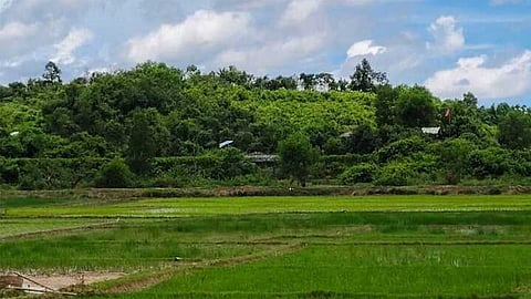 বান্দরবান সীমান্তে মাইন বিস্ফোরণে ৩ বাংলাদেশি নিহত
