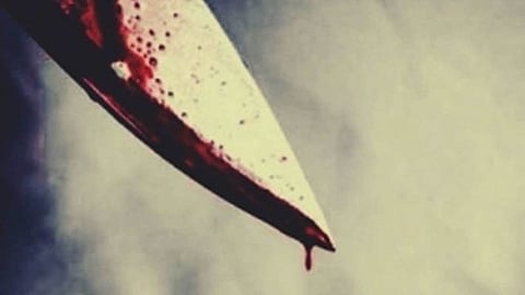 അമ്മയെ സംരക്ഷിക്കുന്നതിനെ ചൊല്ലി തർക്കം: സഹോദരിയെ വെട്ടി പരിക്കേൽപ്പിച്ച് സഹോദരൻ; അറസ്റ്റിൽ