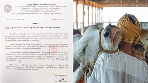 വാലന്റൈൻസ് ഡേയല്ല...ഫെബ്രുവരി 14 'കൗ ഹഗ് ഡേ' ആയി ആചരിക്കണം; സർക്കുലർ പുറത്തിറക്കി കേന്ദ്രം