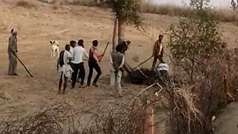 കയർ പൊട്ടിച്ച് ഓടാന് ശ്രമം; പിടിക്കാനെത്തിയ ഉടമയുടെ തല ഒട്ടകം കടിച്ചെടുത്തു; ഒടുവിൽ...