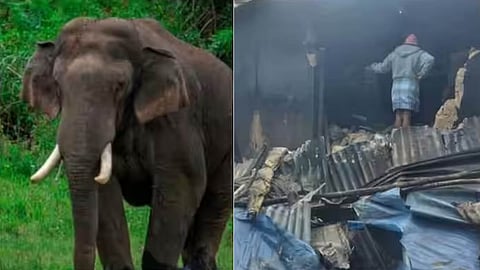 ഇടുക്കിയിൽ വീണ്ടും അരിക്കൊമ്പന്റെ പരാക്രമം; 2 വീടുകൾ തകർത്തു