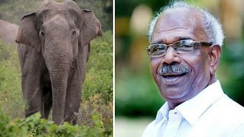 'കാട്ടാനയെ ഉണ്ടാക്കിയത് പിണറായിയല്ല'; കോൺഗ്രസ് സമരത്തെ രൂക്ഷമായി വിമർശിച്ച് എംഎം മണി