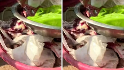 കൊച്ചിയിൽ 8 കിലോയോളം പഴകിയ മാംസം പിടികൂടി