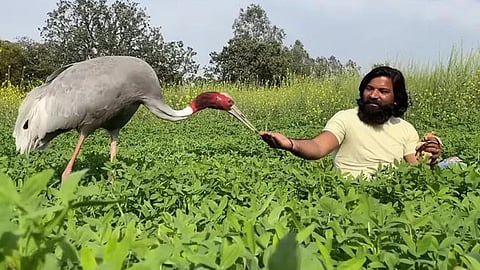 നിയമം വേർപിരിച്ച അപൂർവസൗഹൃദം : വീഡിയോ