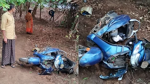 മലമ്പുഴയിൽ കാട്ടാനക്കൂട്ടം; മത്സ്യത്തൊഴിലാളി രക്ഷപെട്ടത് തലനാരിഴയ്ക്ക്