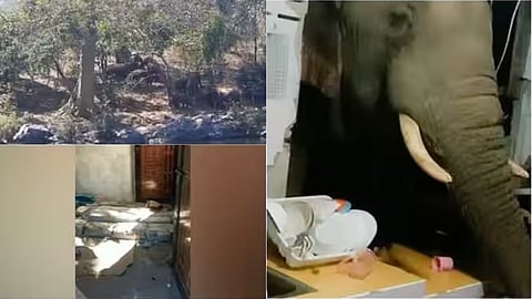 വീണ്ടും അരിക്കൊമ്പന്റെ ആക്രമണം; ചിന്നക്കനാലിൽ വീട് ഭാഗികമായി തകർത്തു