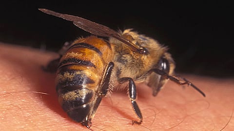 പ്രതീകാത്മക ചിത്രം