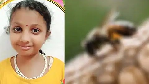 'ഈച്ച പൊലൊരു പ്രാണി കുത്തി'; തിരുവല്ലയിൽ 13 വയസുകാരിക്ക് ദാരുണാന്ത്യം