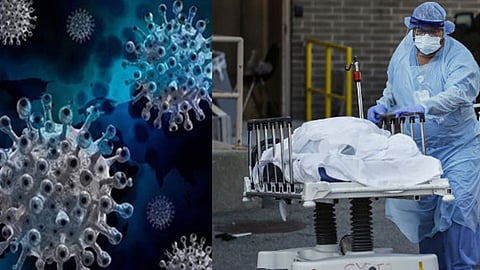 എച്ച്3 എൻ2 വൈറസ് ബാധിച്ച് രാജ്യത്ത് ആദ്യ മരണം; രോഗികളുടെ എണ്ണത്തിൽ വർധന