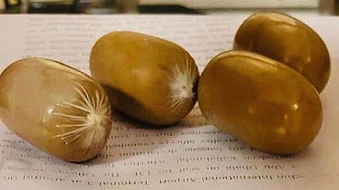 ഫയൽ ചിത്രം