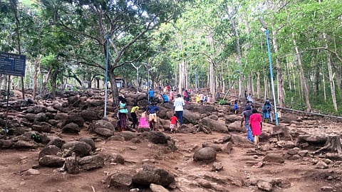 മലയാറ്റൂർ വിശുദ്ധവാരാചരണം: ഗ്രീൻ പ്രോട്ടോക്കോൾ പാലിക്കും, ആവശ്യമായ ക്രമീകരണങ്ങൾ ഒരുക്കും