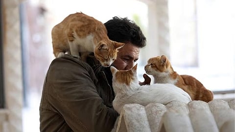 ക്യാറ്റ് മാൻ ഓഫ് ആലെപ്പോ: ഭൂകമ്പബാധിത സിറിയയിലെ പൂച്ചകളുടെ രക്ഷകൻ