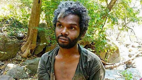 അട്ടപ്പാടി മധു വധക്കേസ്: 12 പ്രതികളുടെ ജാമ്യാപേക്ഷ ഹൈക്കോടതി തള്ളി