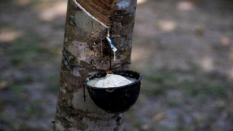 കൃഷിക്കാരും കണ്ണീരും