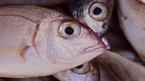 പ്രതീകാത്മക ചിത്രം