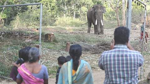 സന്ദർശകരുടെ തിരക്കേറി, കുങ്കിത്താവളം മാറ്റി