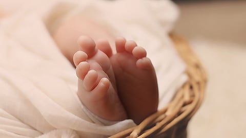 എറണാകുളത്ത് അമ്മത്തൊട്ടിലിൽ ഉപേക്ഷിക്കപ്പെട്ട നിലയിൽ ആൺകുഞ്ഞിനെ കണ്ടെത്തി