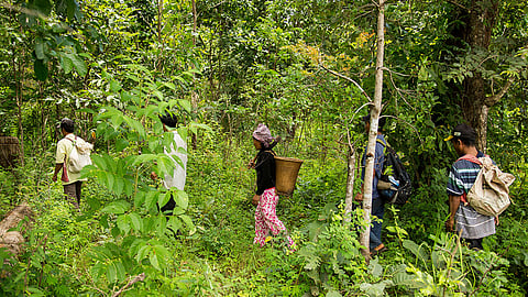 മൂഴിയാറിലെ 45 ആദിവാസി കുടുംബങ്ങള്ക്ക് സ്ഥലം ലഭ്യമാക്കി വീട് നിര്മിച്ചു നൽകണം; നിയമസഭാ സമിതി