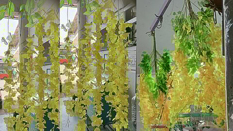 വിപണിയിൽ തളിരിടുന്നു ഡ്യൂപ്ലിക്കേറ്റ് കൊന്നപ്പൂക്കൾ